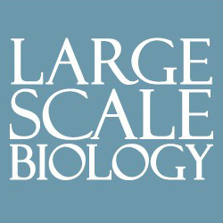Large Scale Biology